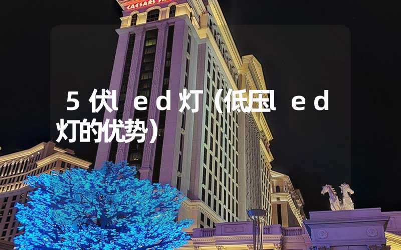 5伏led灯（低压led灯的优势）