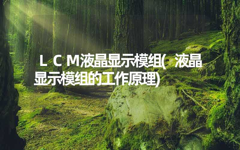 LCM液晶显示模组(液晶显示模组的工作原理)