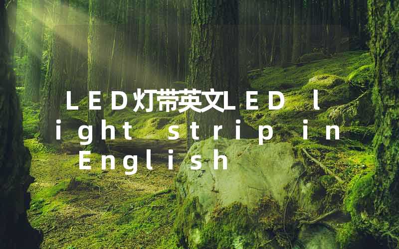 LED灯带英文(LED light strip in English)-多映光电