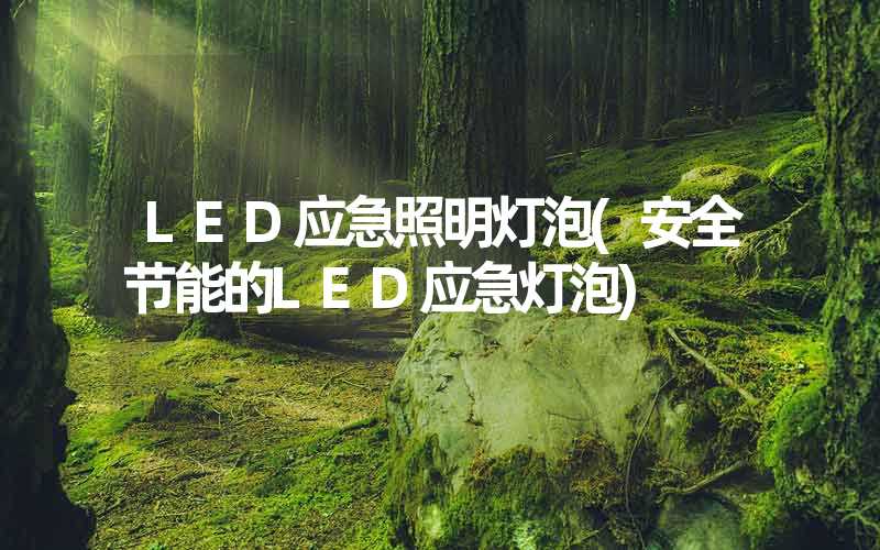 LED应急照明灯泡(安全节能的LED应急灯泡)