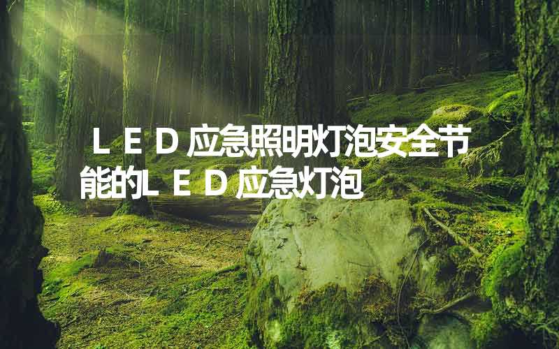 LED应急照明灯泡安全节能的LED应急灯泡