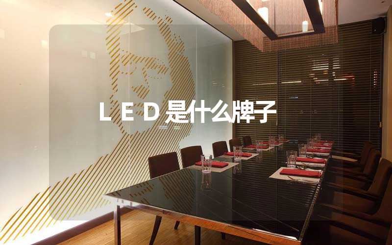 LED是什么牌子