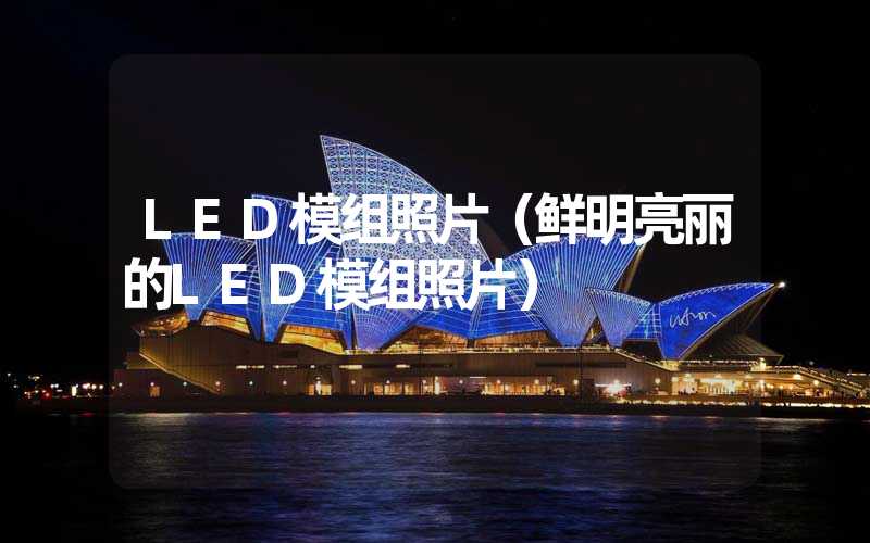 LED模组照片（鲜明亮丽的LED模组照片）