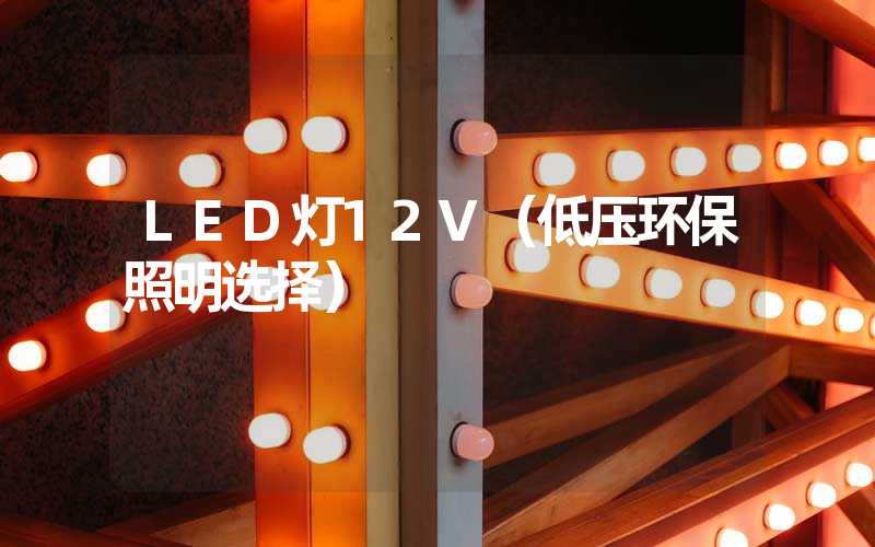 LED灯12V（低压环保照明选择）