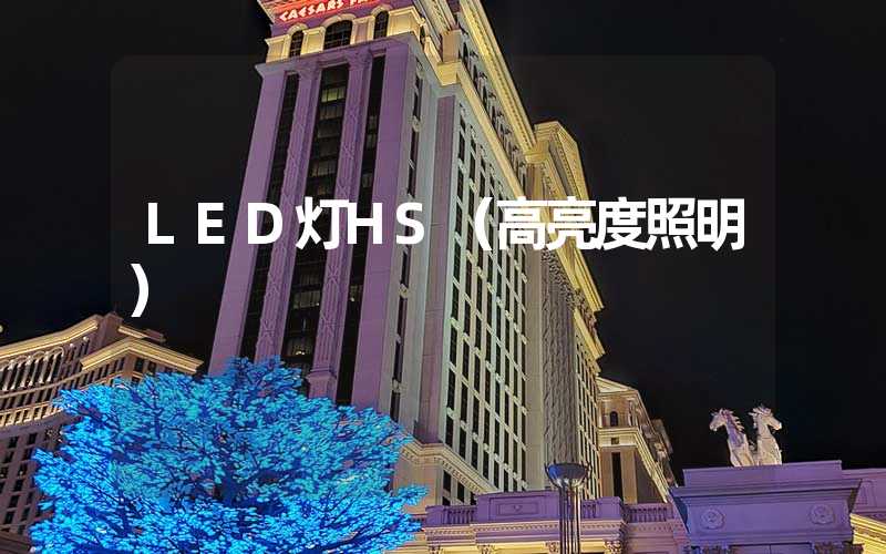 LED灯HS（高亮度照明）
