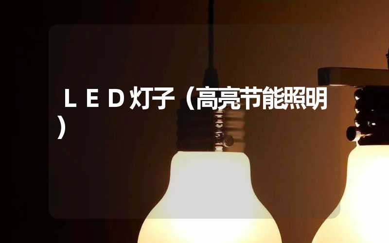 LED灯子（高亮节能照明）