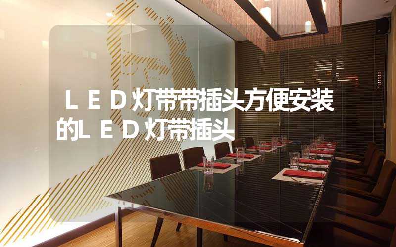 LED灯带带插头方便安装的LED灯带插头