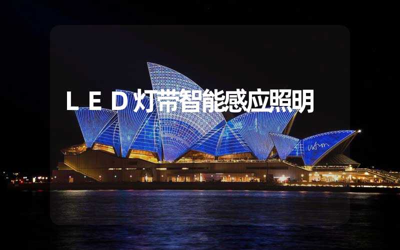 LED灯带智能感应照明