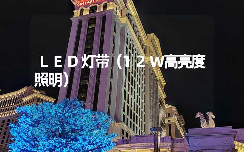 LED灯带（12W高亮度照明）