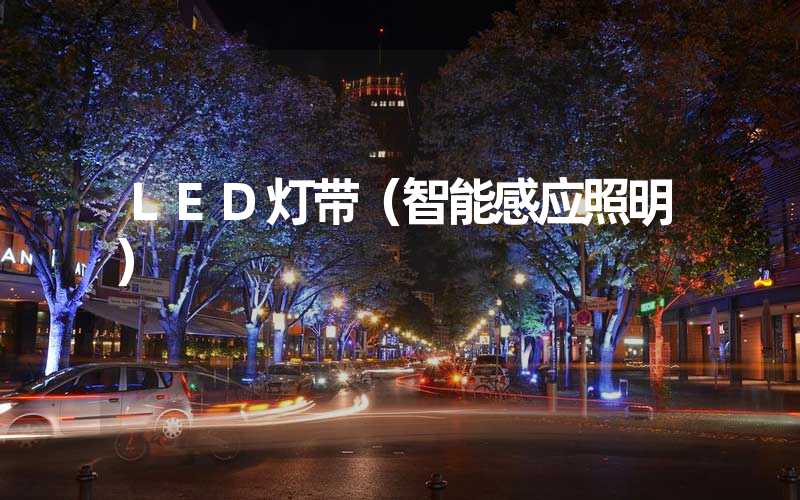 LED灯带（智能感应照明）