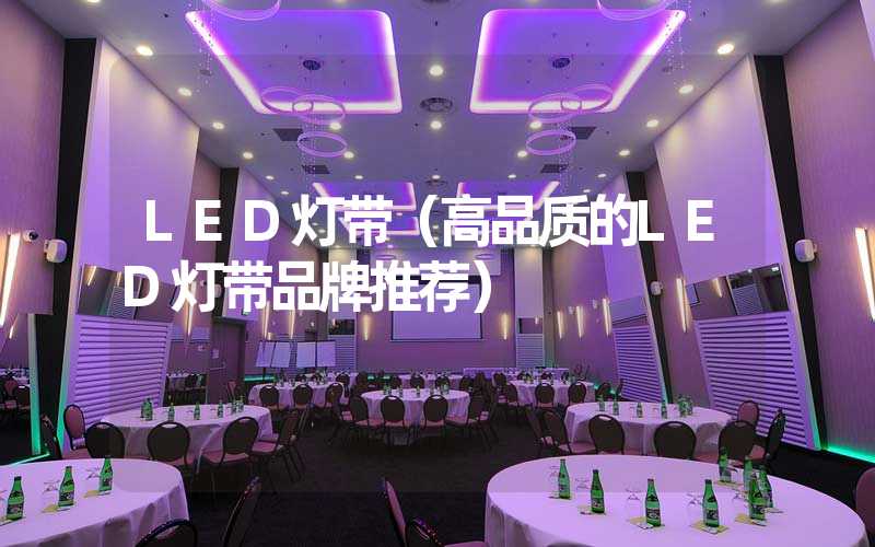 LED灯带（高品质的LED灯带品牌推荐）