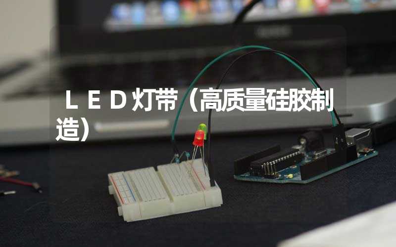 LED灯带（高质量硅胶制造）