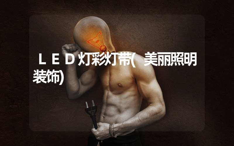 LED灯彩灯带(美丽照明装饰)