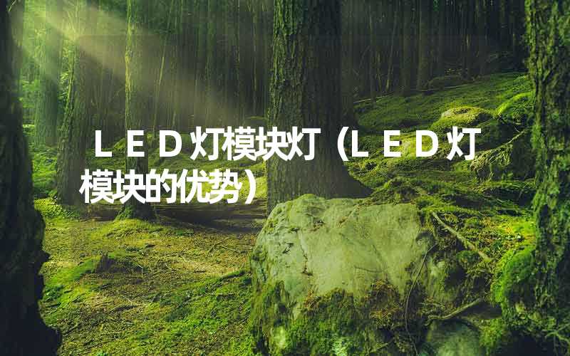 LED灯模块灯（LED灯模块的优势）