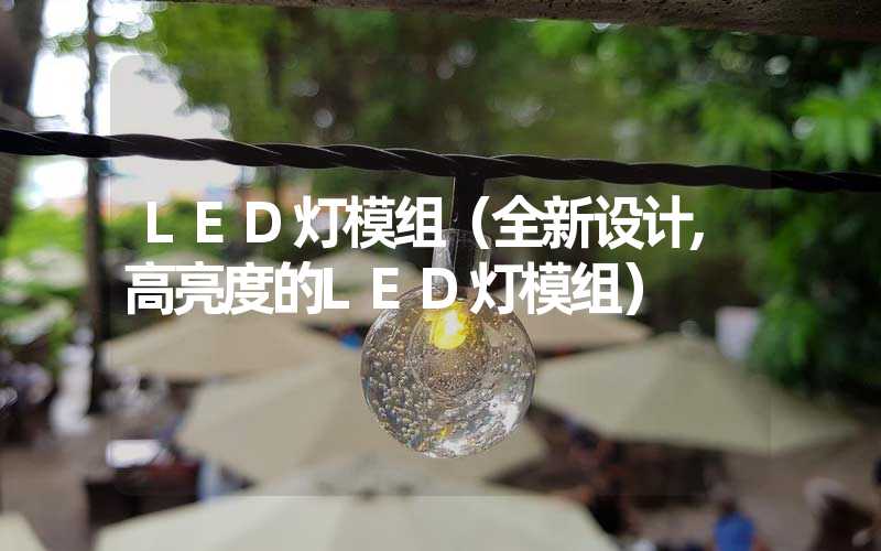 LED灯模组（全新设计,高亮度的LED灯模组）