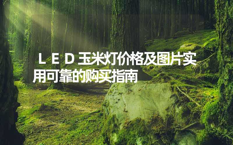 LED玉米灯价格及图片实用可靠的购买指南