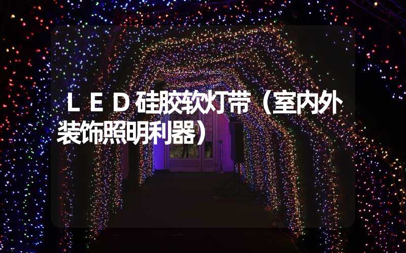 LED硅胶软灯带（室内外装饰照明利器）