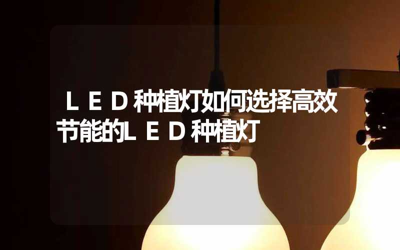 LED种植灯如何选择高效节能的LED种植灯