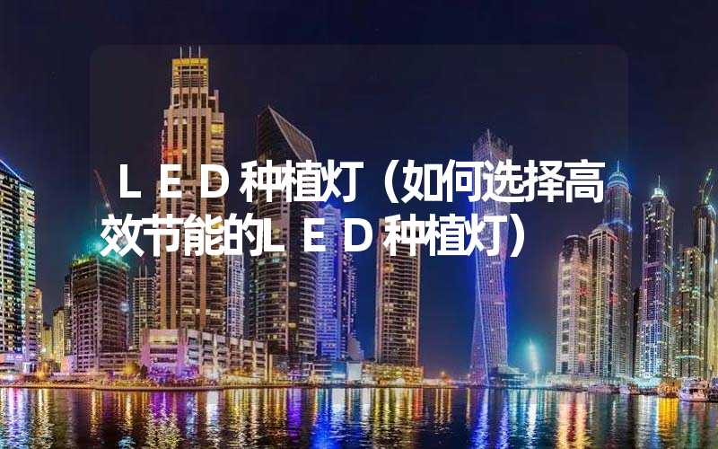 LED种植灯（如何选择高效节能的LED种植灯）