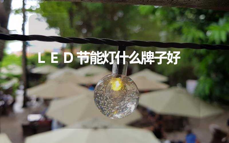 LED节能灯什么牌子好