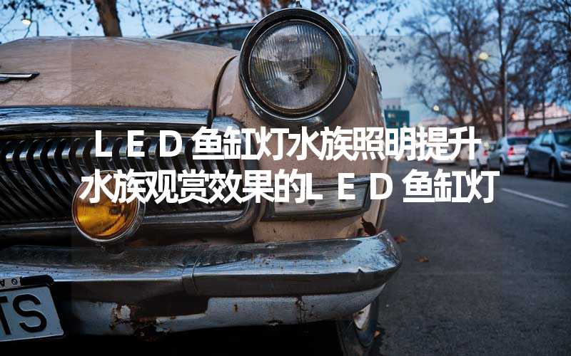 LED鱼缸灯水族照明提升水族观赏效果的LED鱼缸灯