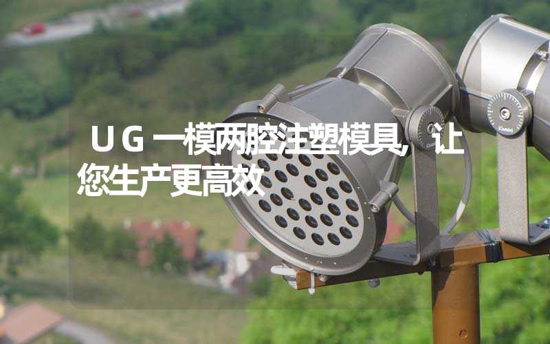 UG一模两腔注塑模具,让您生产更高效