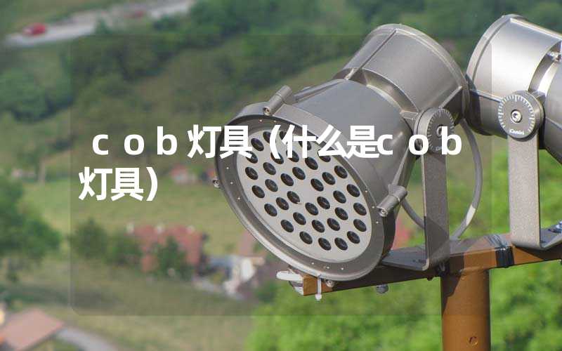 cob灯具（什么是cob灯具）