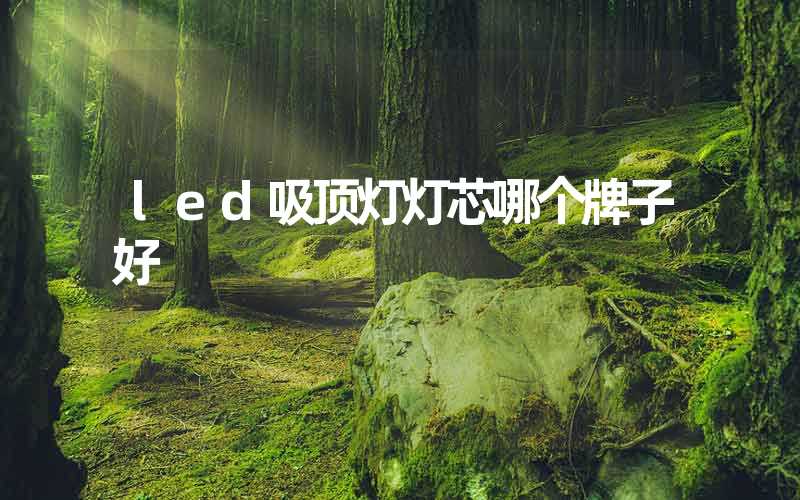 led吸顶灯灯芯哪个牌子好
