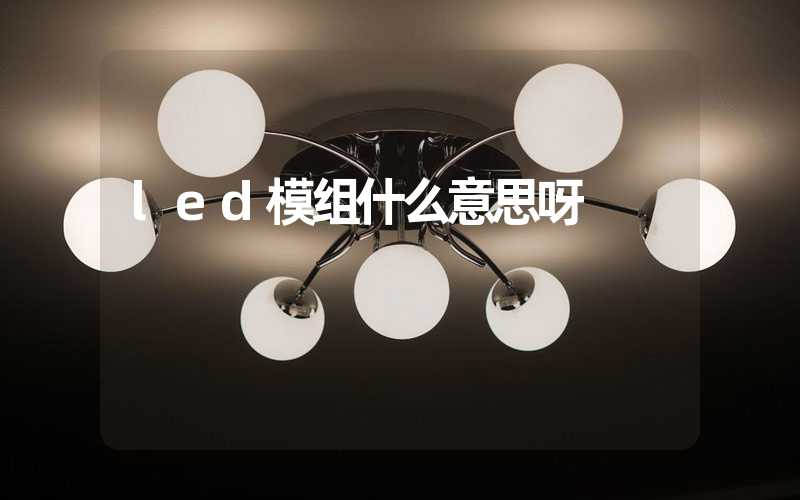 led模组什么意思呀