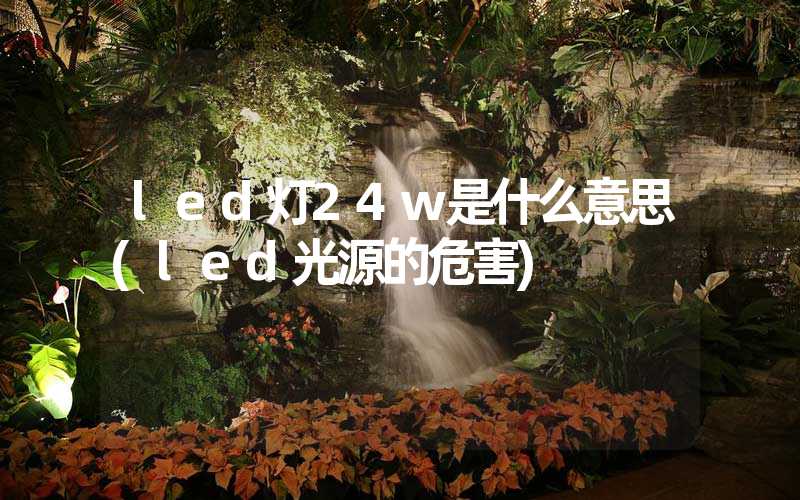 led灯24w是什么意思(led光源的危害)