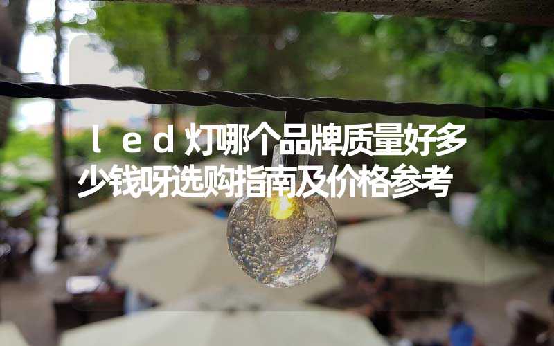 led灯哪个品牌质量好多少钱呀选购指南及价格参考