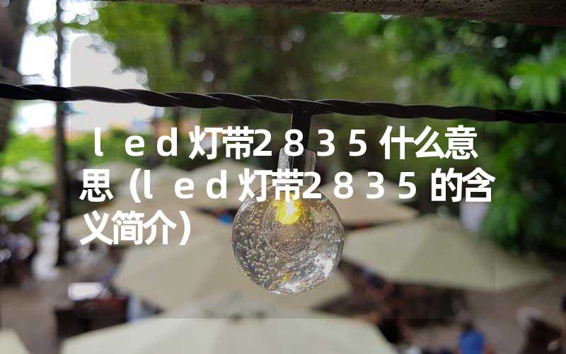 led灯带2835什么意思（led灯带2835的含义简介）