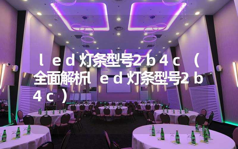 led灯条型号2b4c（全面解析led灯条型号2b4c）