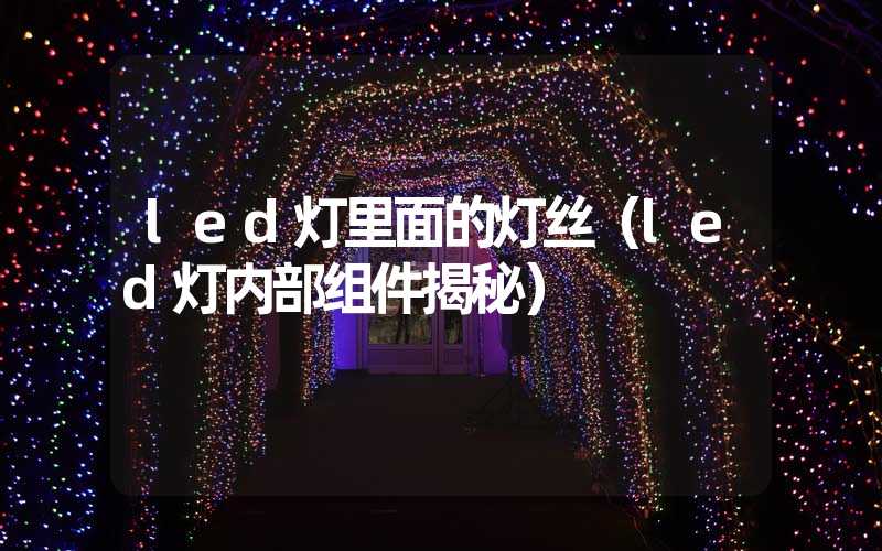 led灯里面的灯丝（led灯内部组件揭秘）