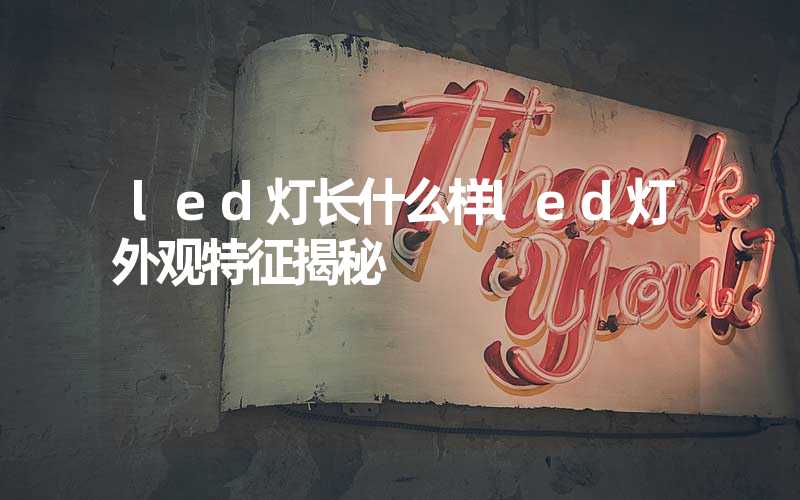 led灯长什么样led灯外观特征揭秘