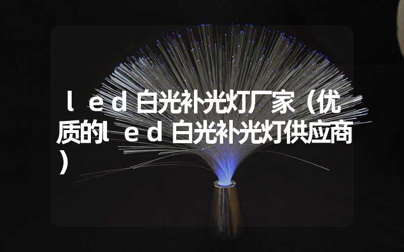 led白光补光灯厂家（优质的led白光补光灯供应商）
