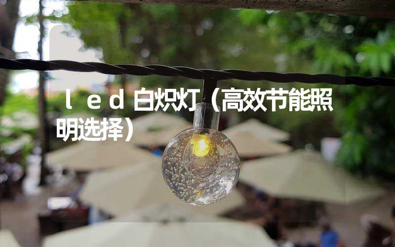 led白炽灯（高效节能照明选择）