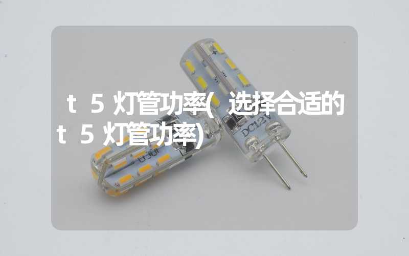 t5灯管功率(选择合适的t5灯管功率)