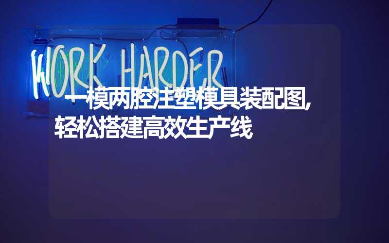 一模两腔注塑模具装配图,轻松搭建高效生产线