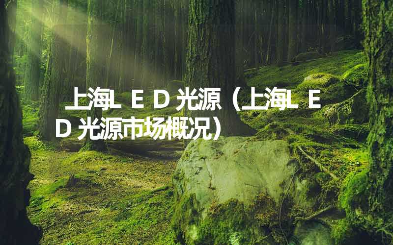 上海LED光源（上海LED光源市场概况）