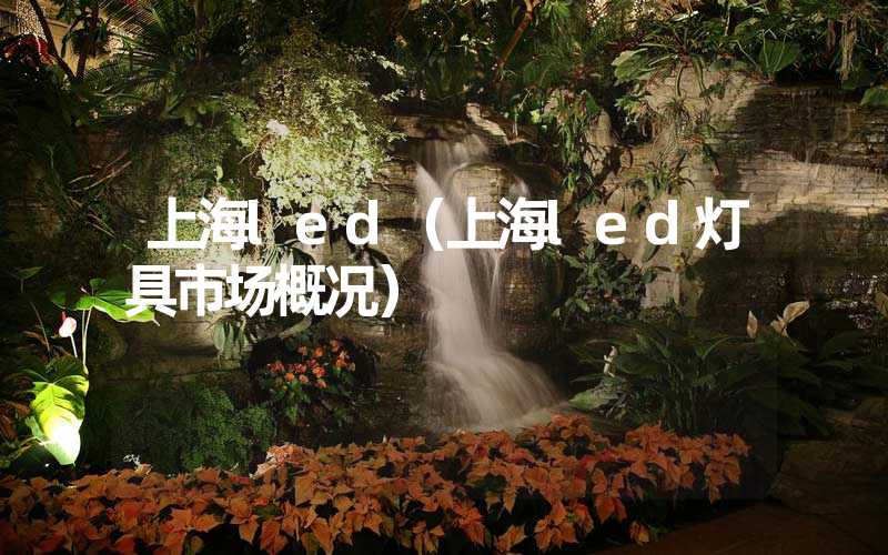 上海led（上海led灯具市场概况）