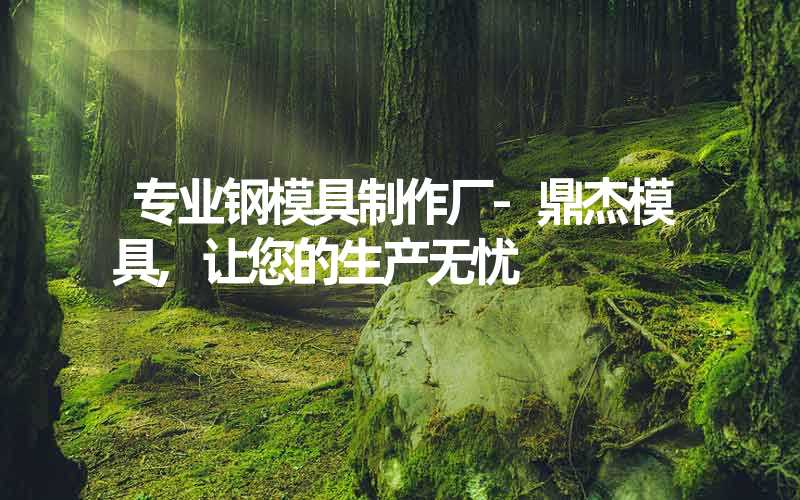 专业钢模具制作厂-鼎杰模具,让您的生产无忧