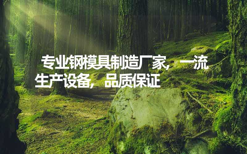 专业钢模具制造厂家,一流生产设备,品质保证