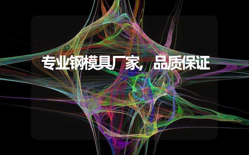 专业钢模具厂家,品质保证