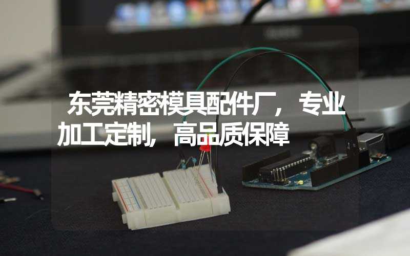 东莞精密模具配件厂,专业加工定制,高品质保障