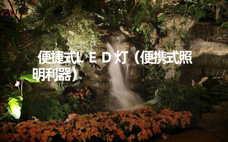 便捷式LED灯（便携式照明利器）