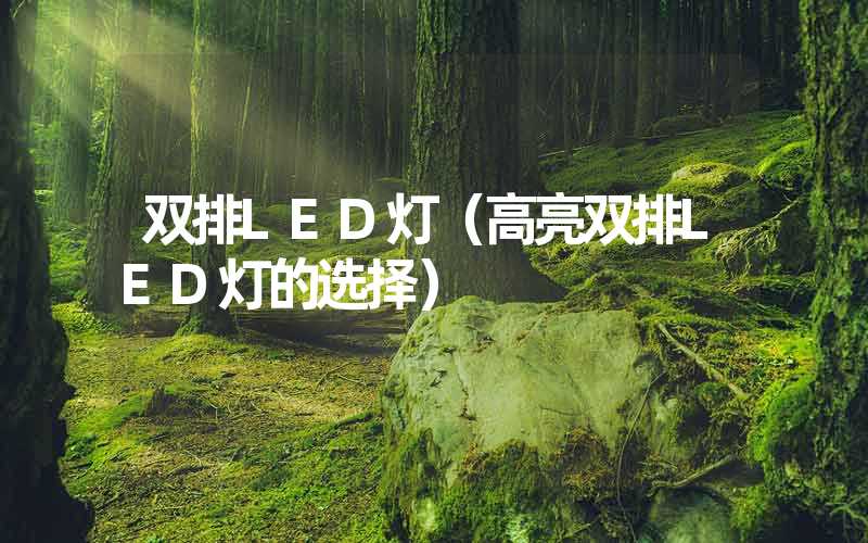 双排LED灯（高亮双排LED灯的选择）