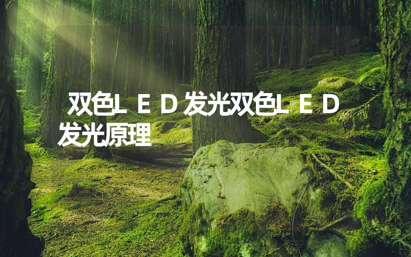 双色LED发光双色LED发光原理
