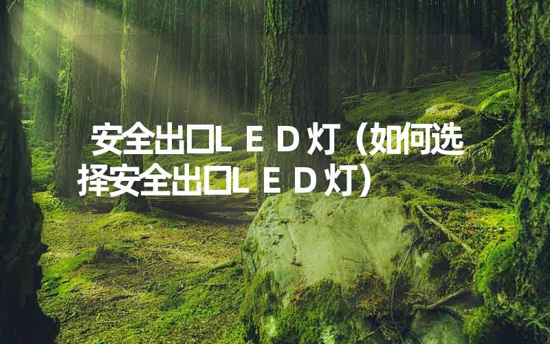 安全出口LED灯（如何选择安全出口LED灯）