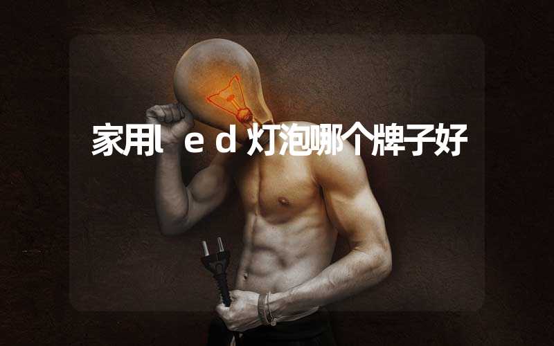 家用led灯泡哪个牌子好